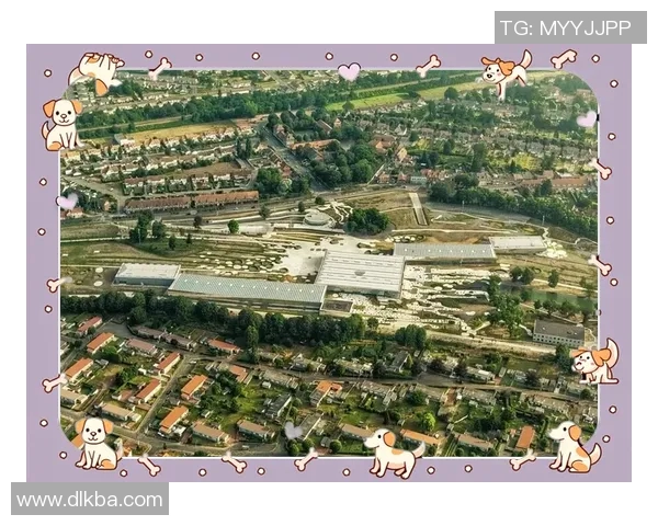 朗斯的魅力探索：历史文化与现代生活的完美交融之旅